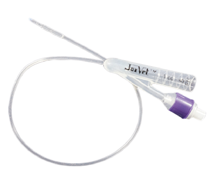 Catéter sonda foley silicon