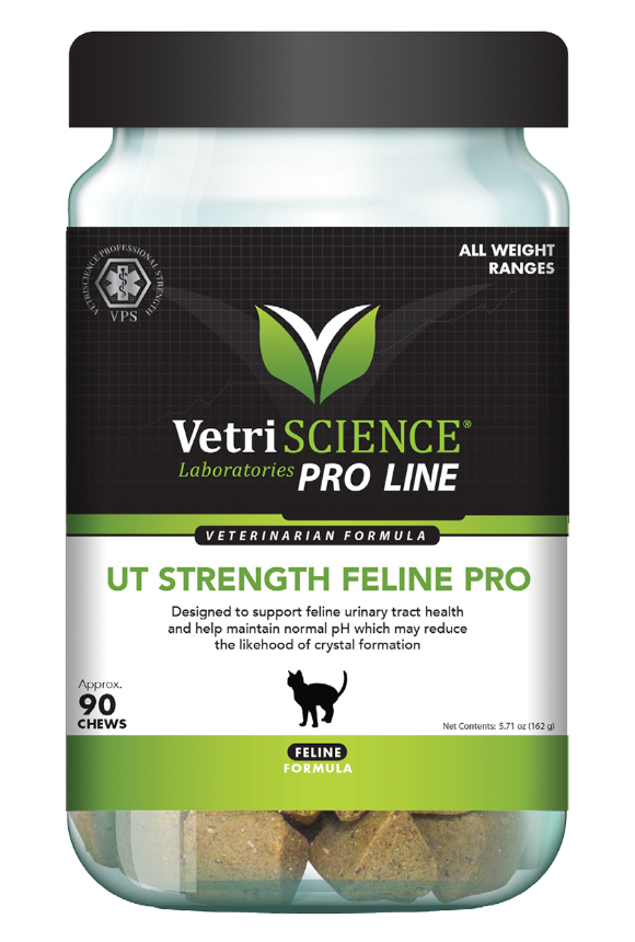 UT Strength Pro Feline